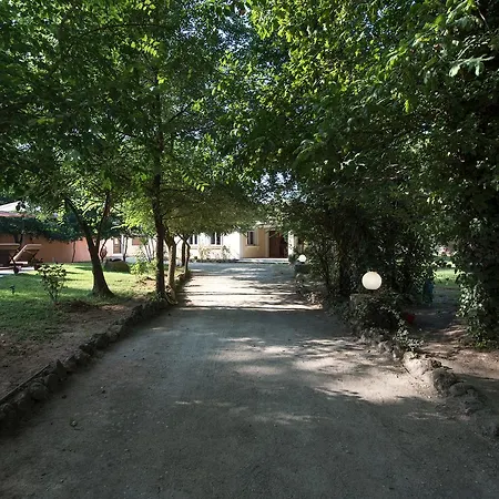 Villa Art House *